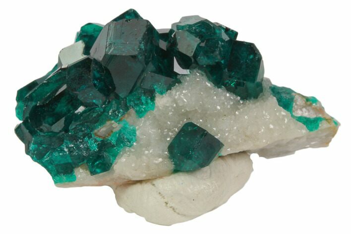 Lustrous, Dioptase Crystal Cluster (Large Crystals) - Namibia #78696